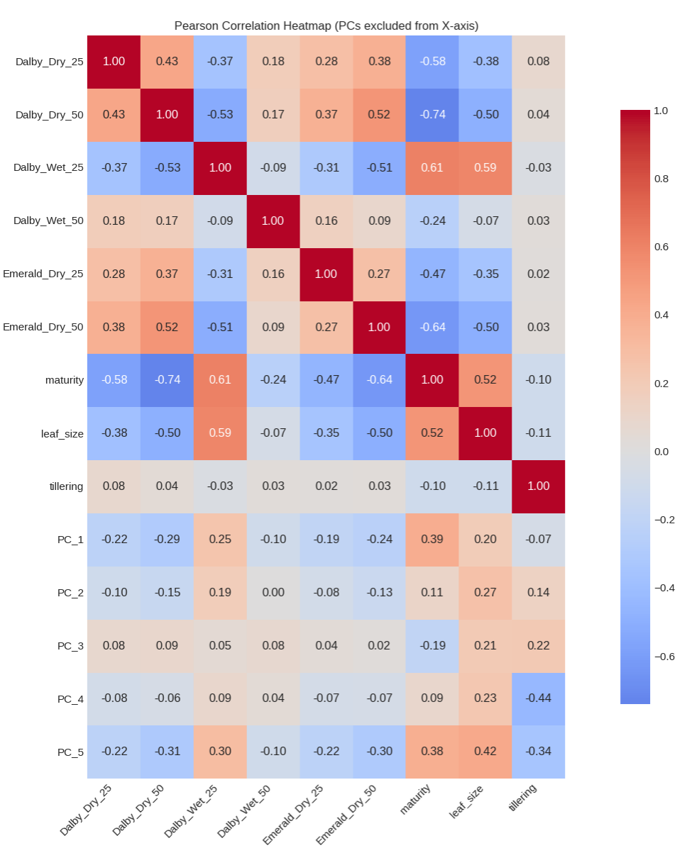 Correlation Heatmap